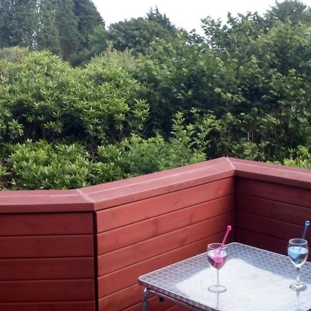 28 Yew Lodge Amroth Zewnętrze zdjęcie